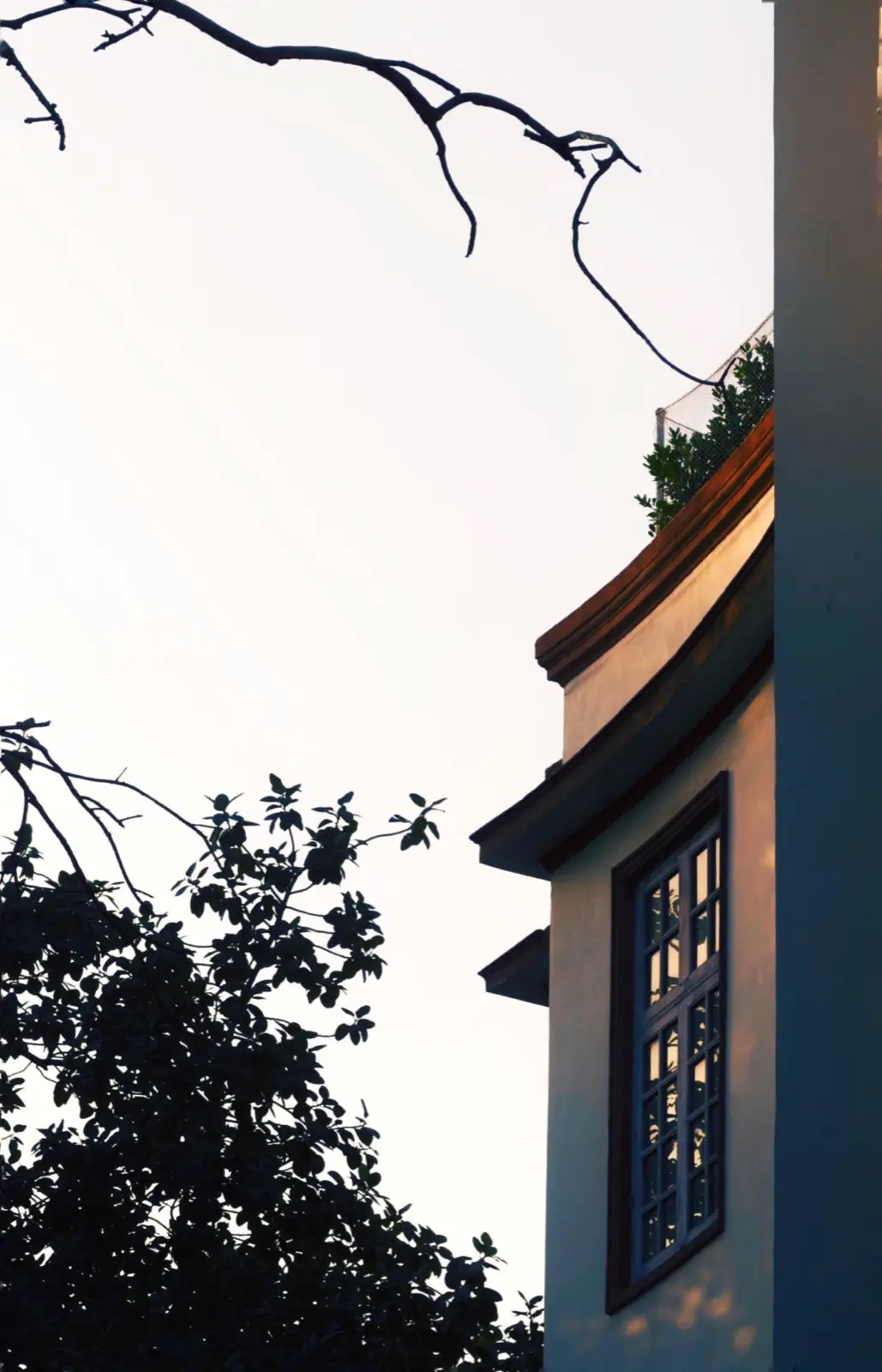 A lit window and its reflection on a building corner at dusk, framed by a bare branch